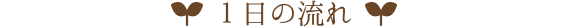 1日の流れ